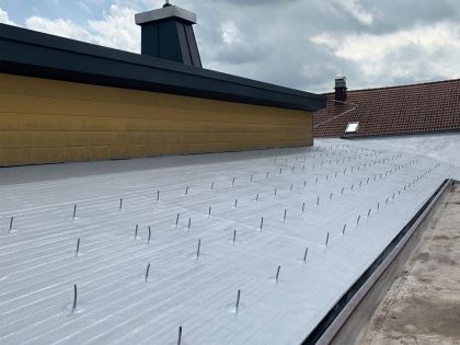 Roof waterproofing with PURELASTIK liquid plastic for existing PV system
