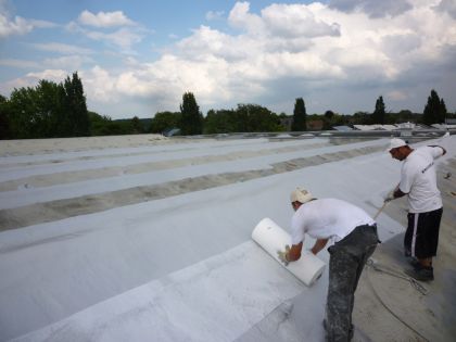 Shed-Dach abdichten und sanieren mit PUR-Schaum und Flüssigkunststoff